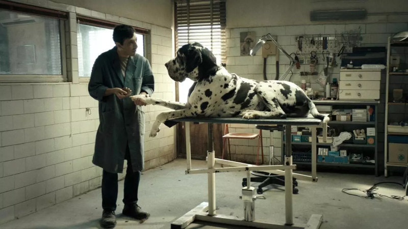 cine italiano - Dogman
