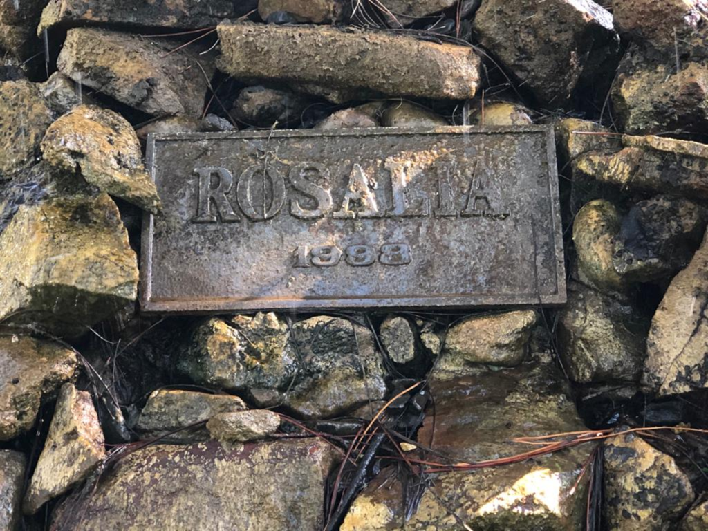 Rosalía - Placa De La Fuente Rosalia Del Sanatorio Italiano