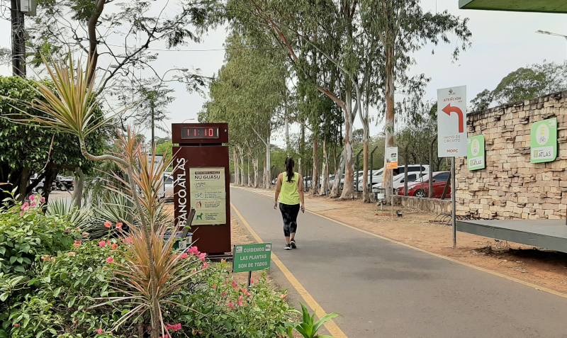 Guasu-Caminata En El Parque