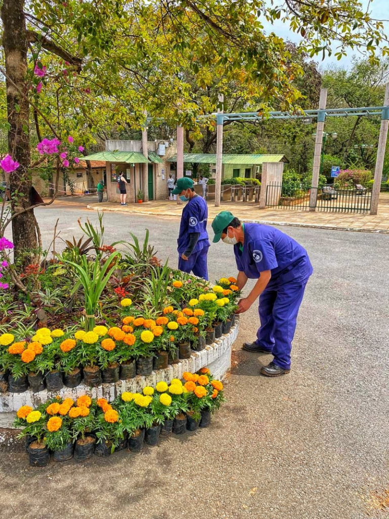 Ambiente Del Parque De La Salud Ips