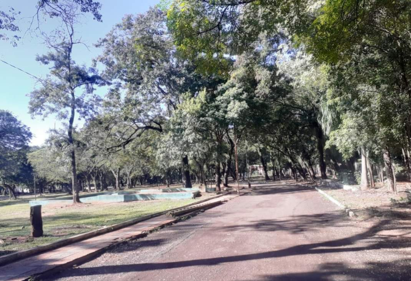Interior Del Parque Caballero