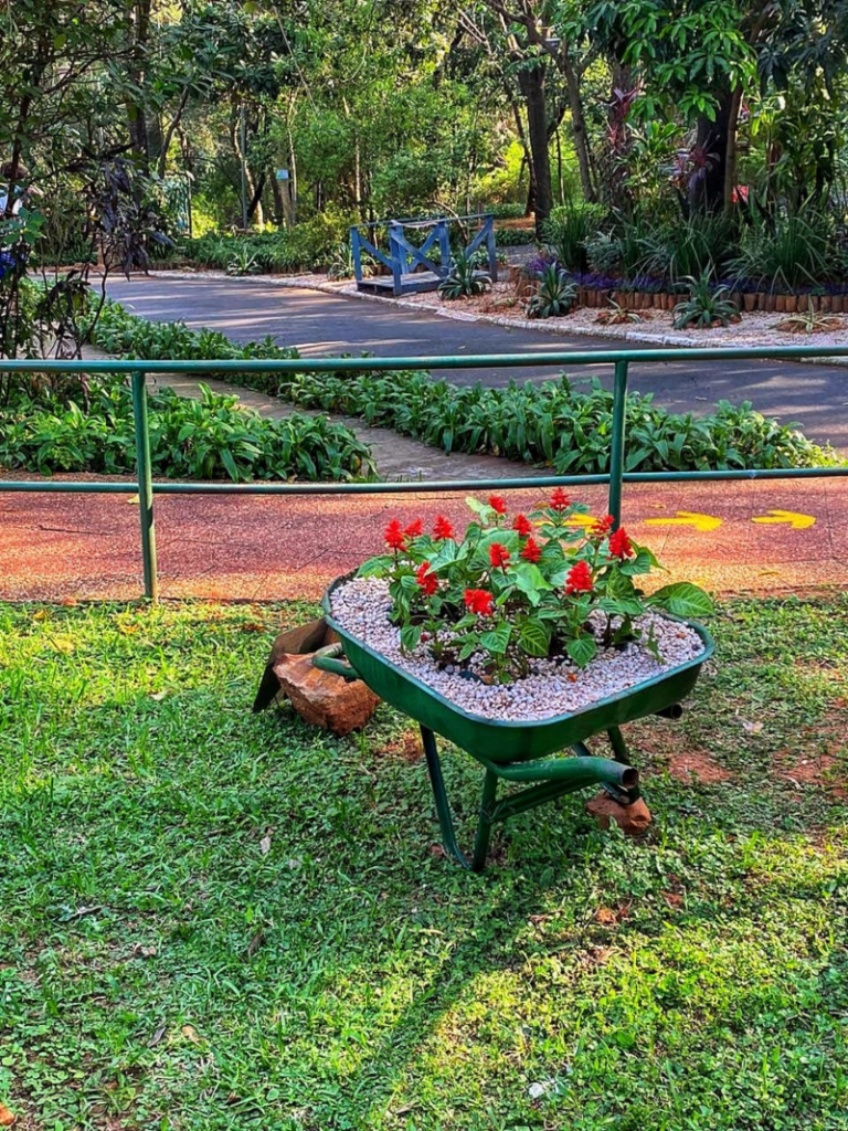 Senderos Parque De La Salud Ips