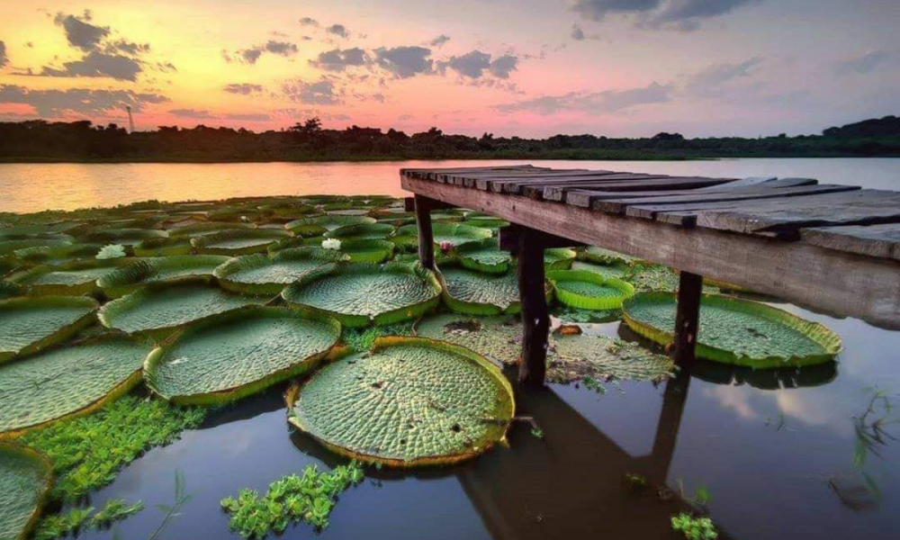 Capiatá, la ciudad de los mitos y leyendas - itAsunción