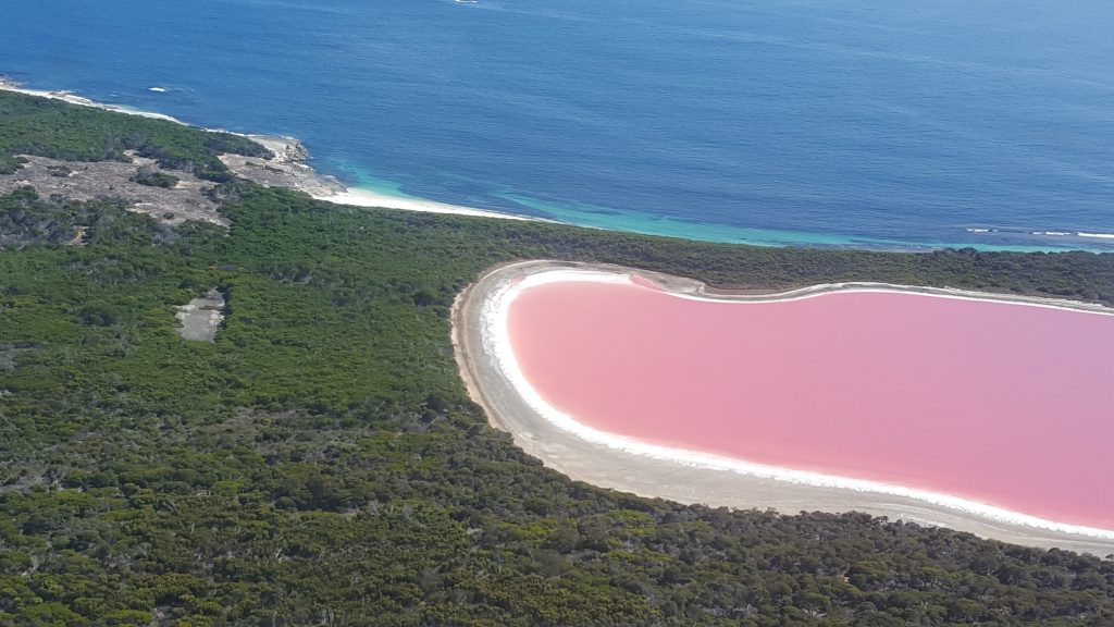 Pink Lake Lake Hillier On Middle Island Off The Coast Of Esperance Western Australia