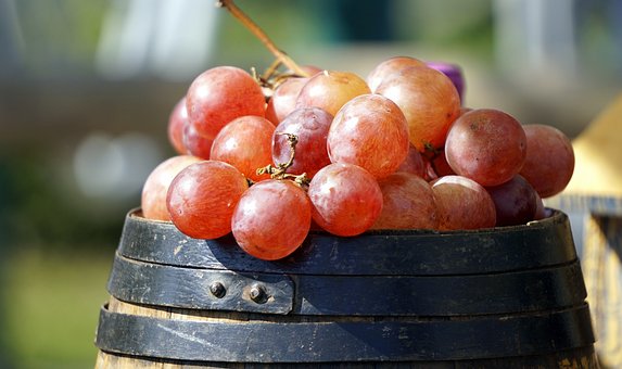 L'uva da mangiare e da usare per produrre del buon vino è una delle protagoniste dell'autunno in tavola