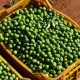 Nocellara dell'Etna: la qualità di Olive coltivate A Biancavilla