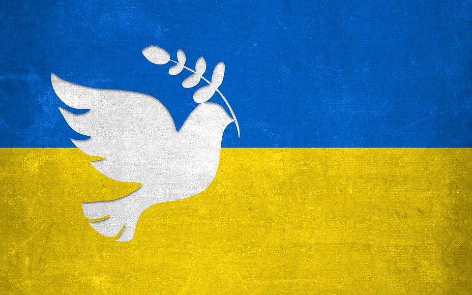 Pace Bandiera Rondine Ucraina