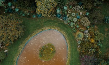 Jardin Botanico - Tesoro verde de Bogotá