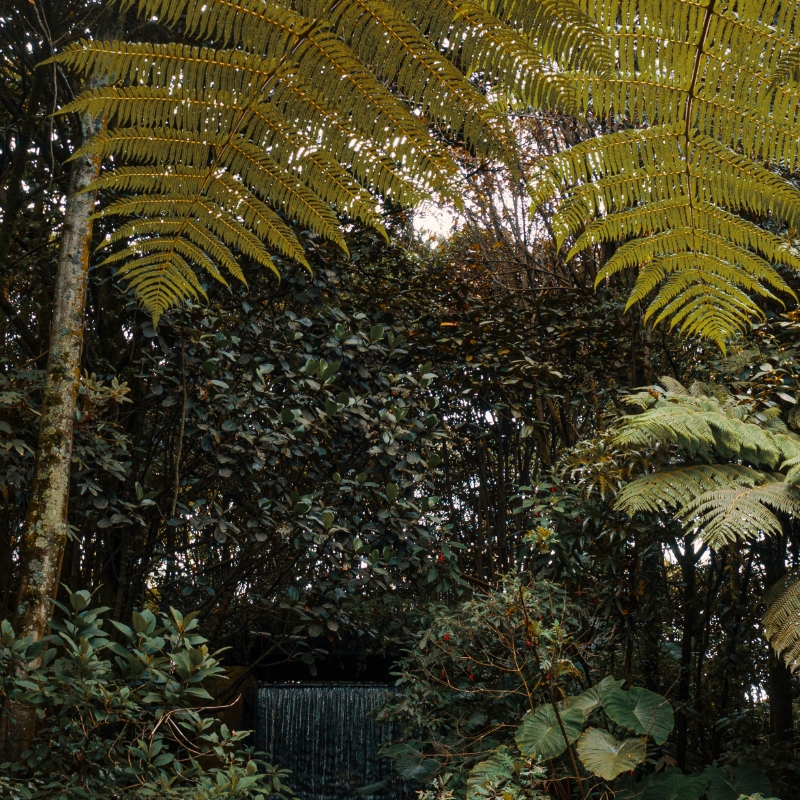 JardinJardin Botanico - Tesoro verde de Bogotá