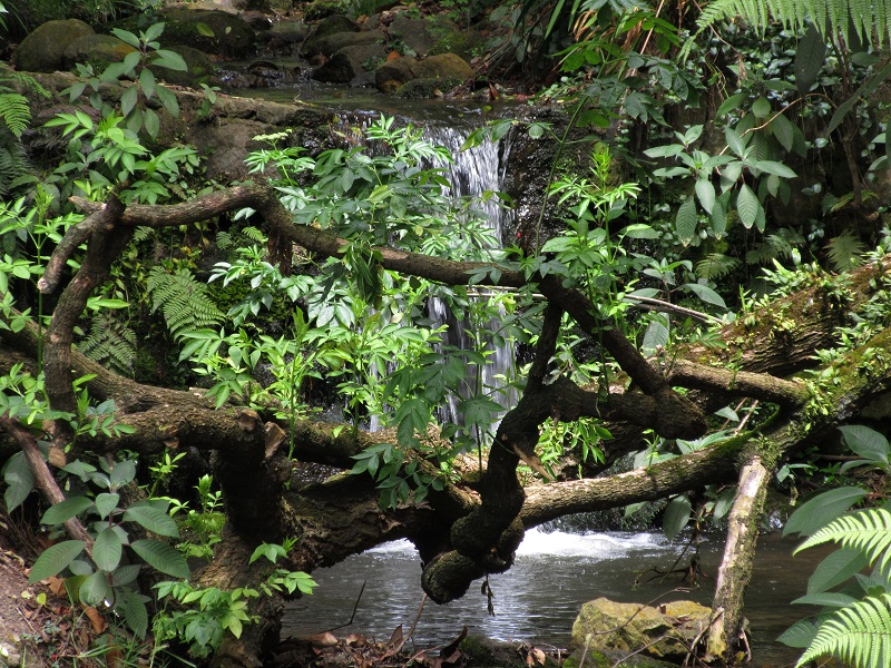 Quebrada la vieja - Cascada