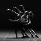 Les Grands Ballets Canadiens - Bailarinas De Ballet