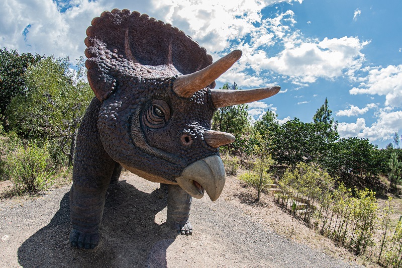 Parque Gondava - Triceratop