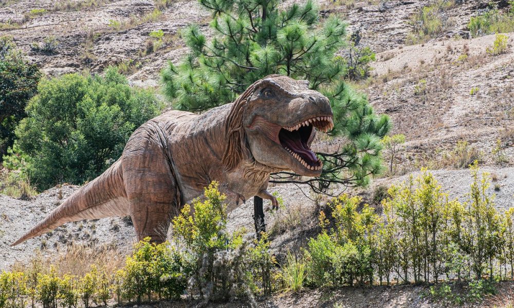 Parque Gondava, el territorio de los dinosaurios - itBogotá