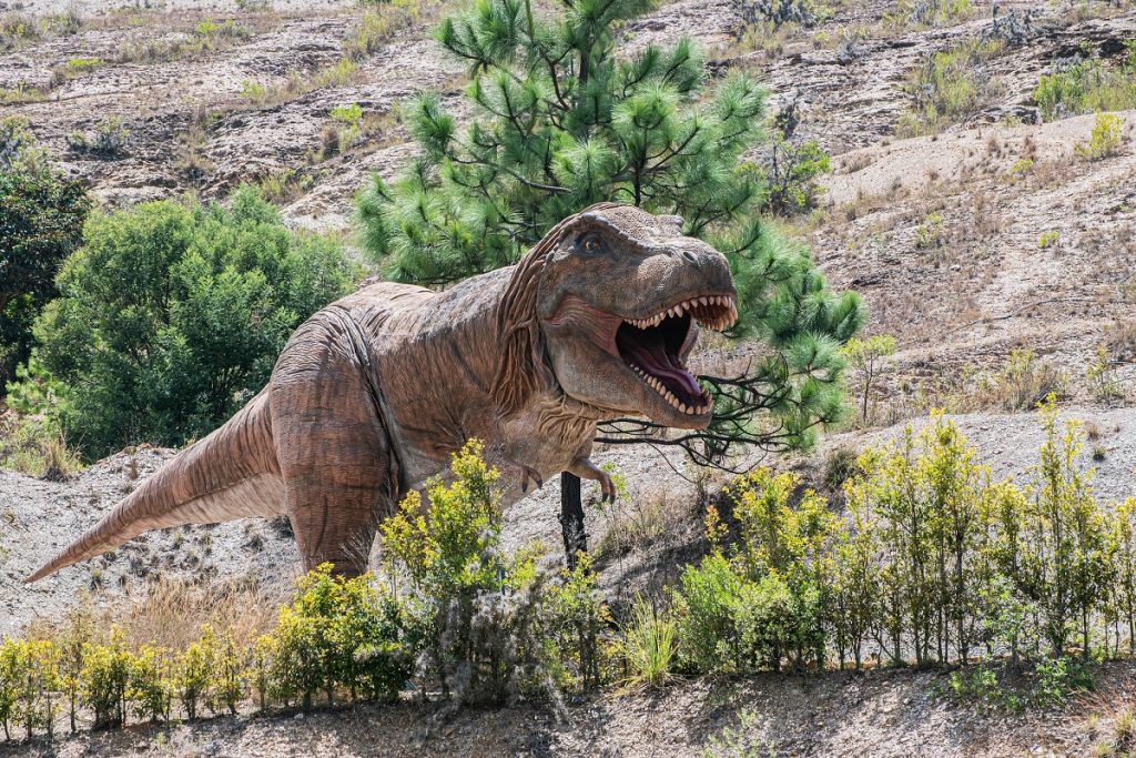Parque Gondava - Tyranosaurio