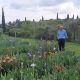Vittorio Pighi Apre Le Porte Del Suo Giardino Di Iris