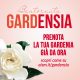 Bentornata Gardenia Copertina