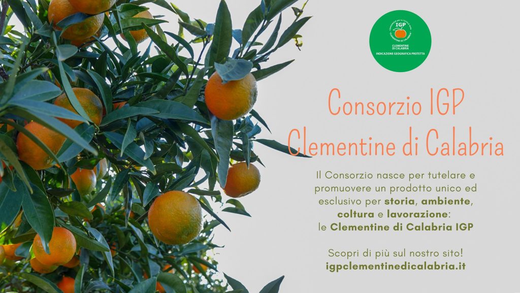Consorzio Clementine