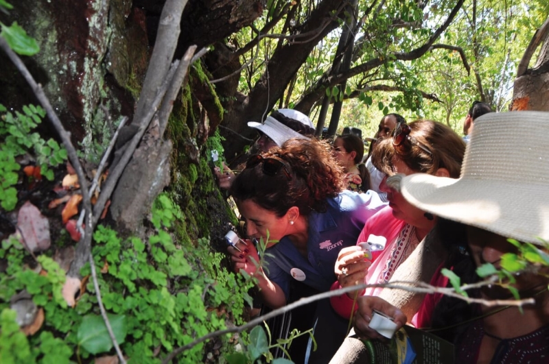 Ruta del Tricahue - Brioturismo