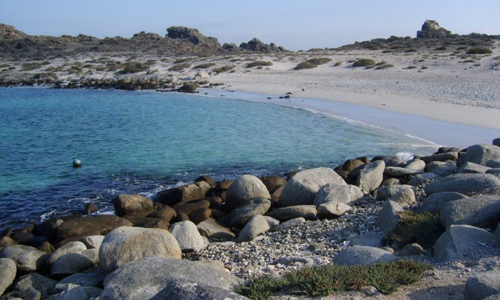 Isladamaschile