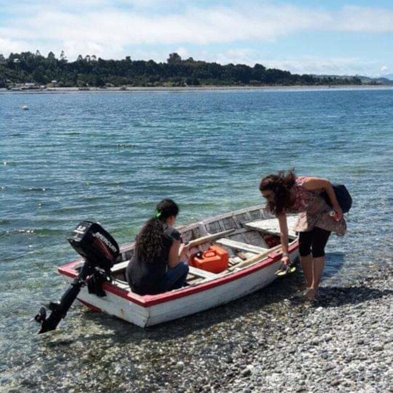 profesora incentiva la literatura italiana - Isla De Chidhuapi Calbuco