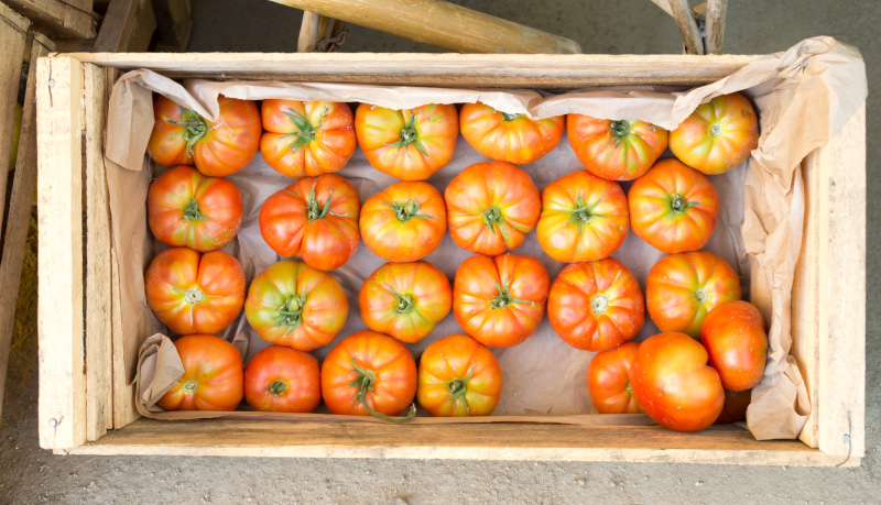 El Club Social Ítalo Chileno - Tomate Limachino