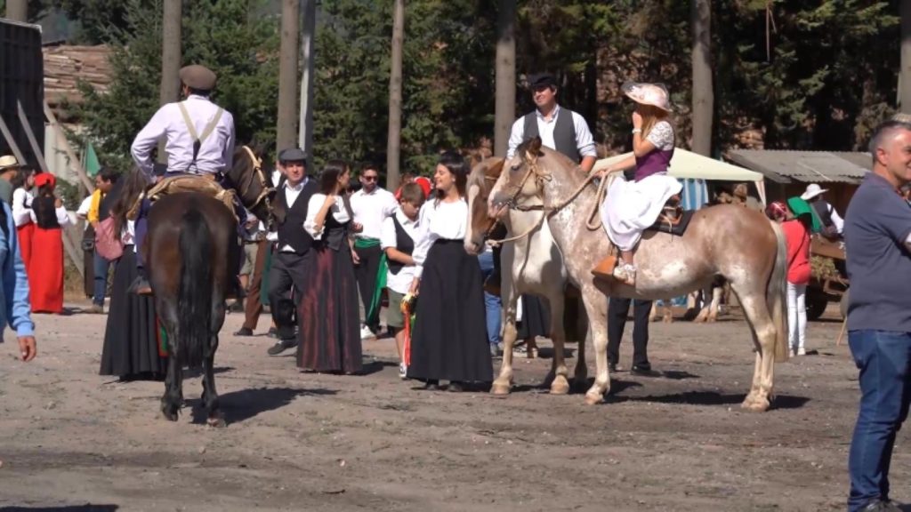 Sagra - Carretada