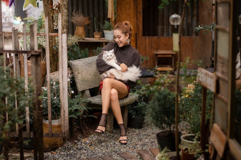 fotografía - Woman And Cat