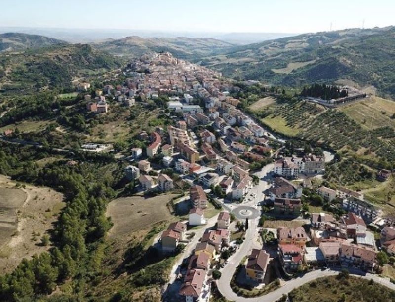 Michele - Tolve
