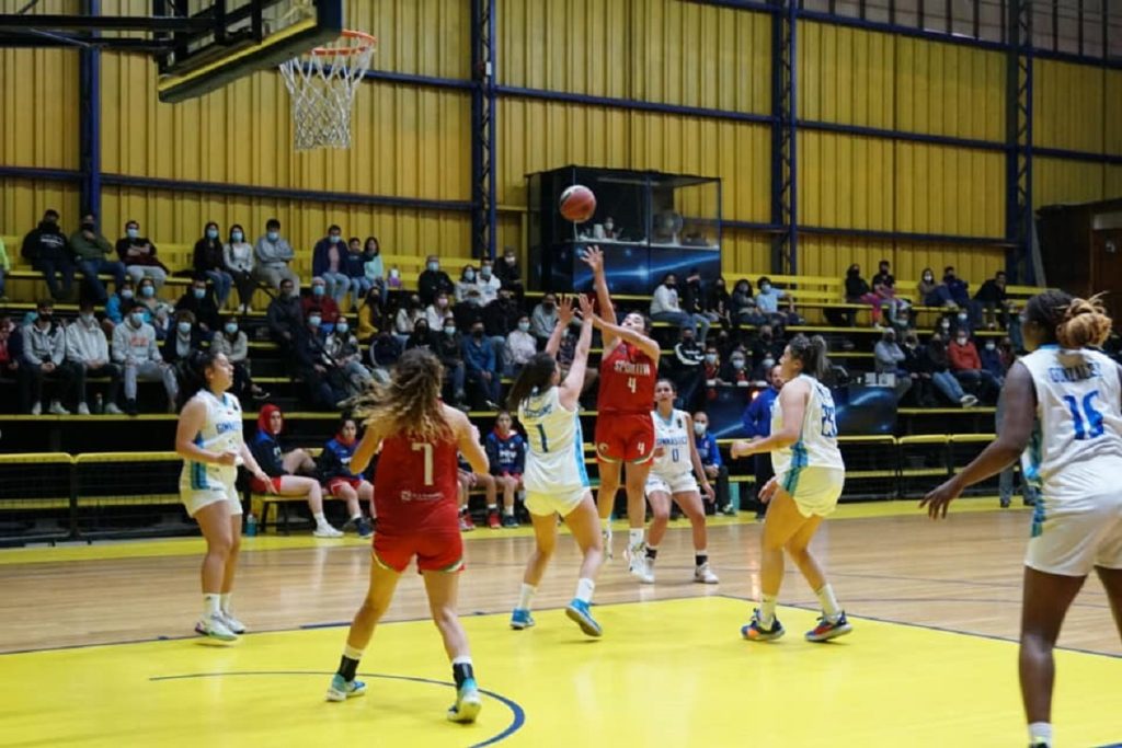 femenino - Gimnasio Arlegui