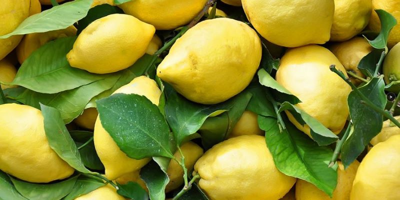 Limone - Amarillos
