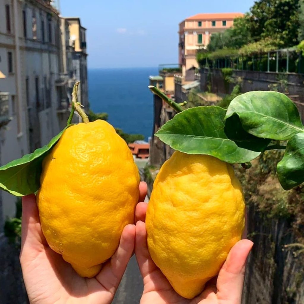 limón - Limoni Sorrento