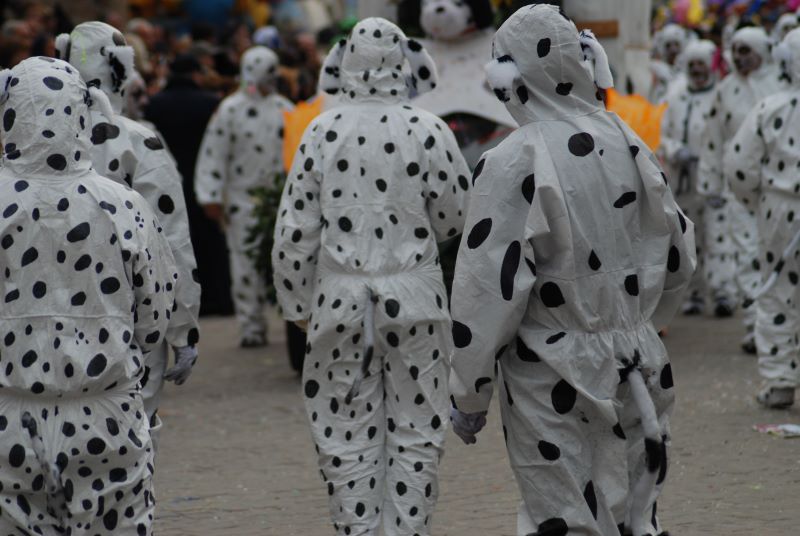 El Carnaval Dalmatas