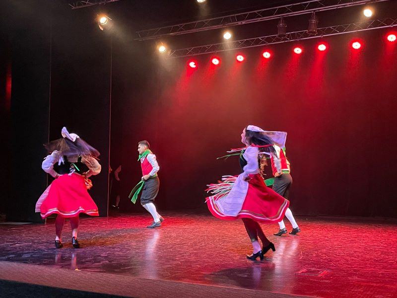 danzas - Luces Rojas