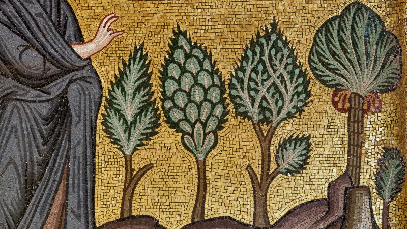 Mosaico - Foto 1