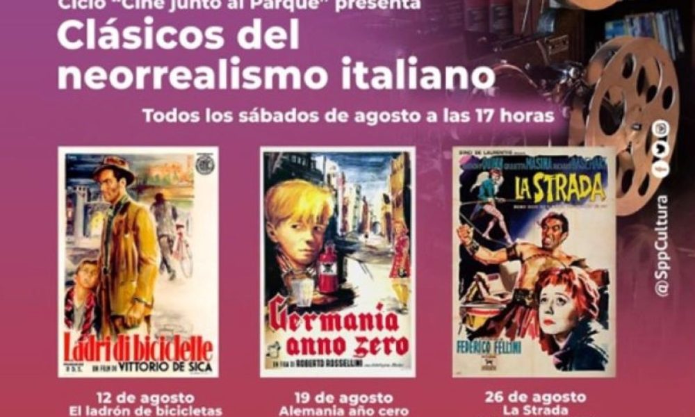Imagen12