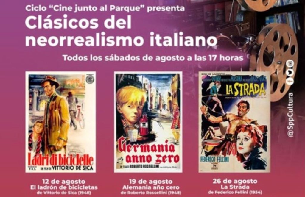 Imagen12