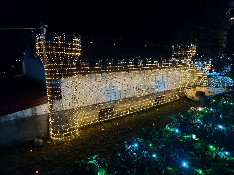 Luces Y Vegetación