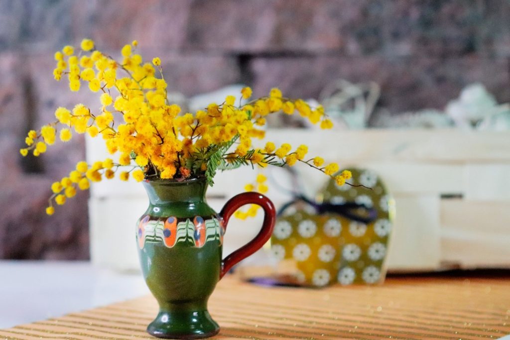 mimose - Flores