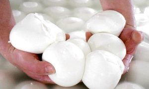 ¿cómo Reconocer Si La Mozzarella Es Fresca Y De Buena Calidad?