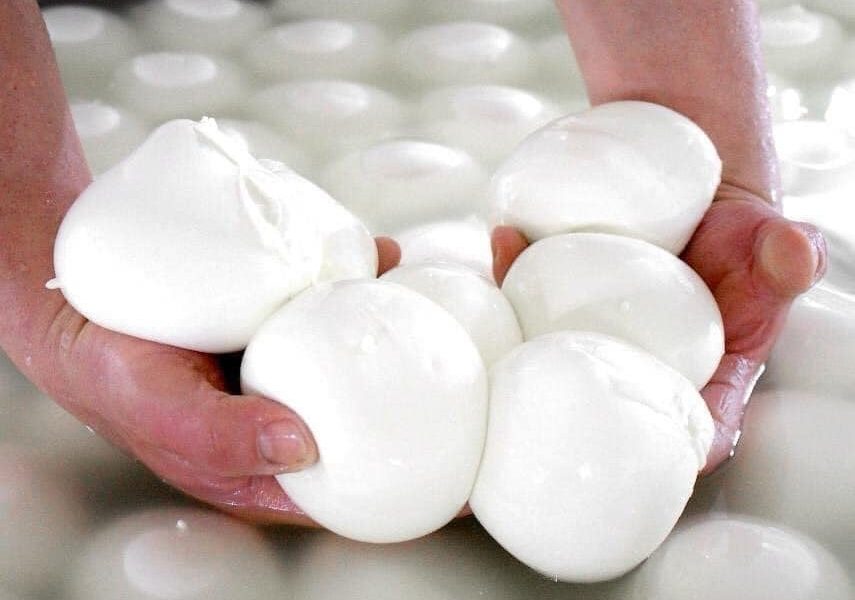 ¿cómo Reconocer Si La Mozzarella Es Fresca Y De Buena Calidad?