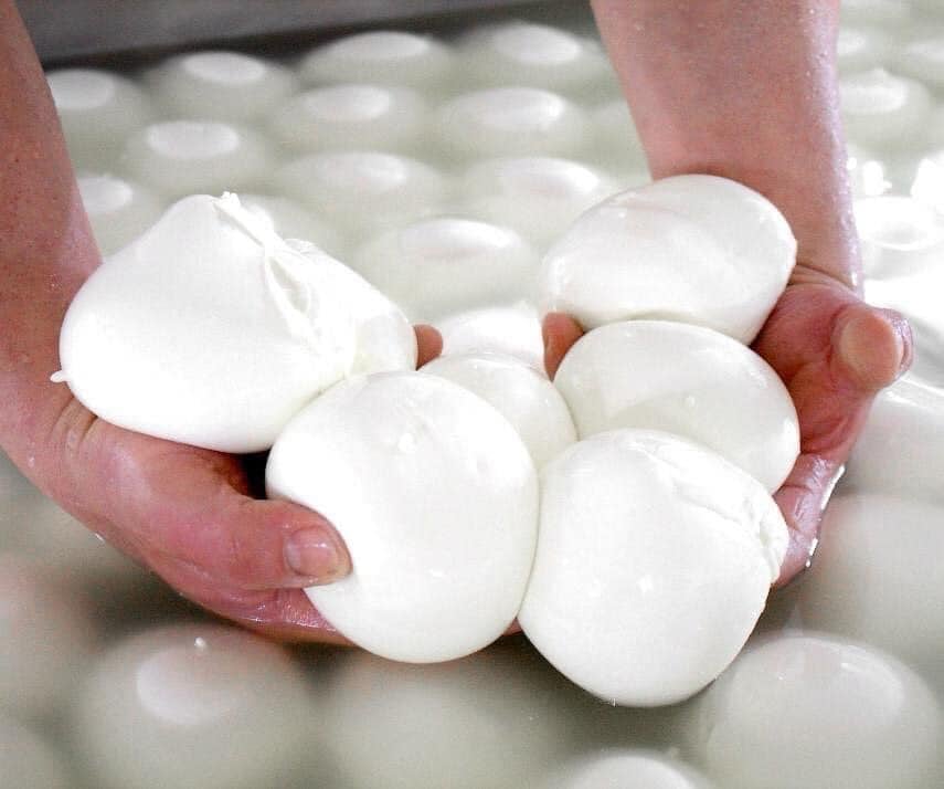 ¿cómo Reconocer Si La Mozzarella Es Fresca Y De Buena Calidad?