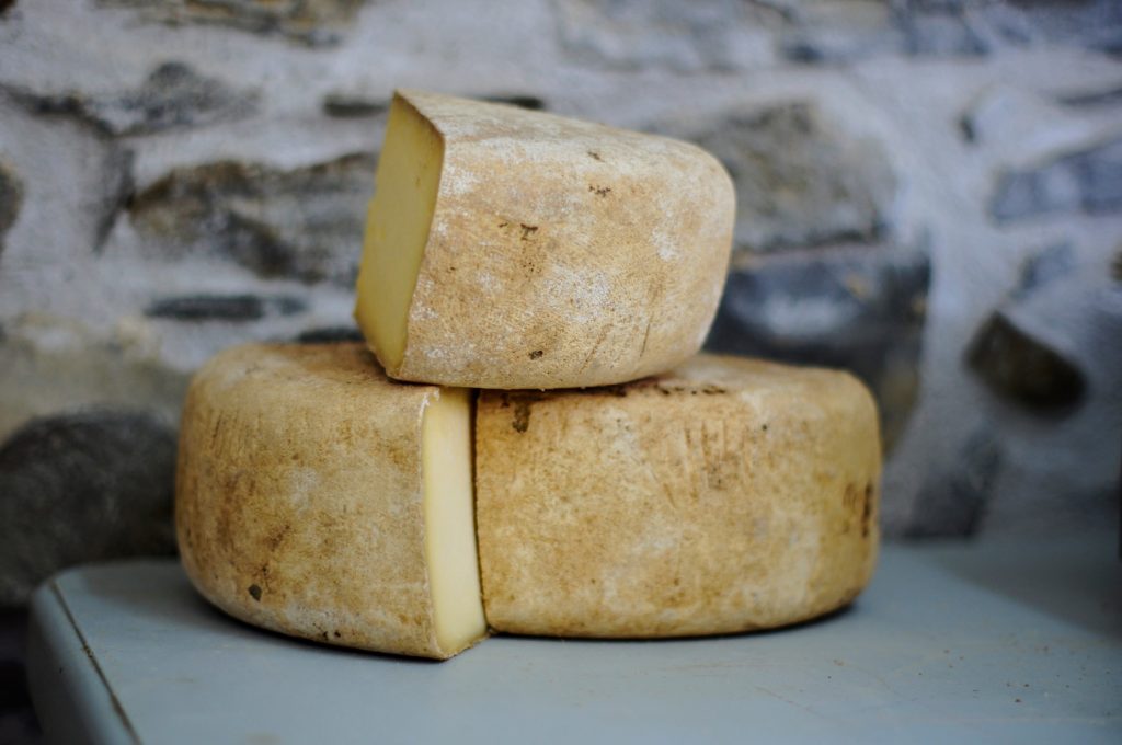 queso - modelo