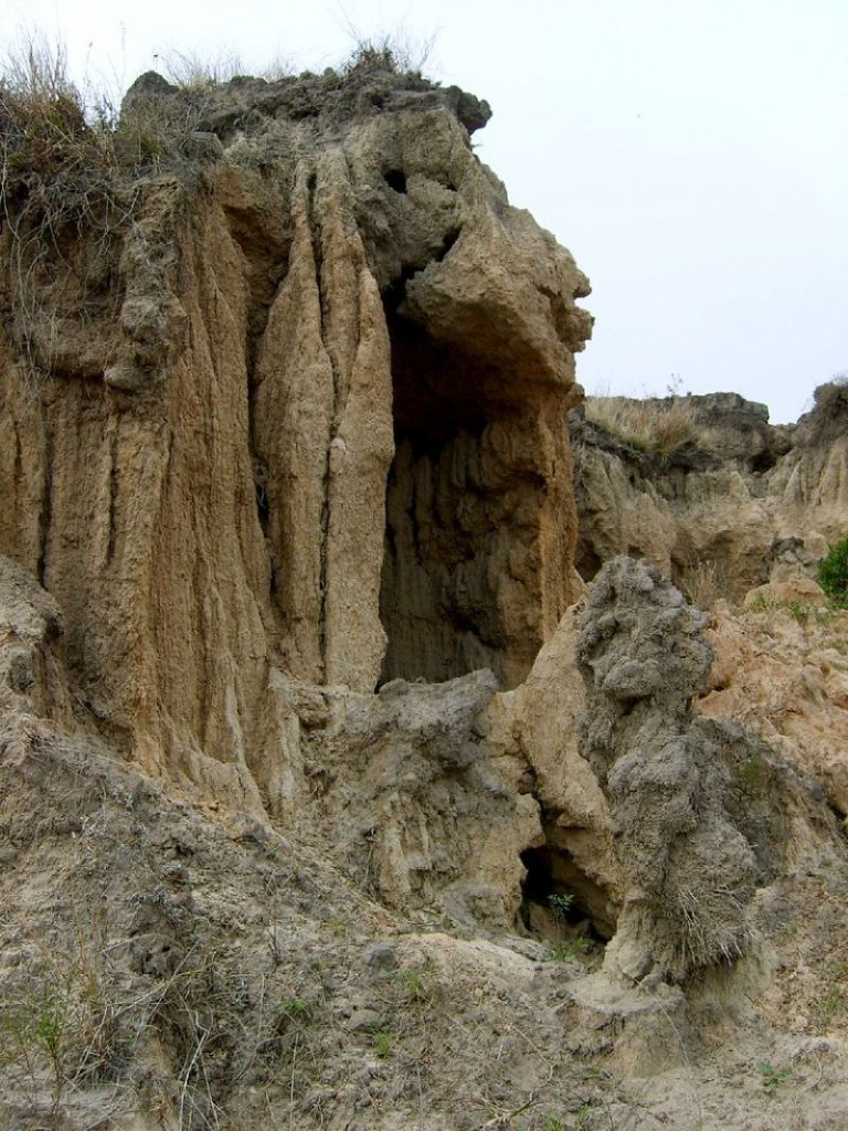 Toropí - Carcava