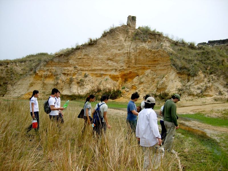 Toropi Turismo