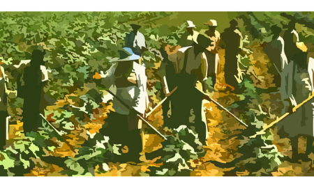 Oficios - Agricultura