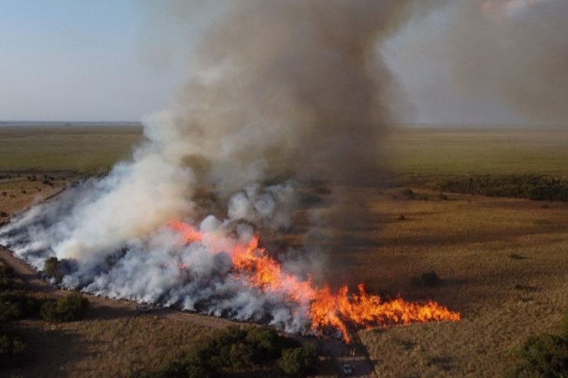 Incendios En Corrientes