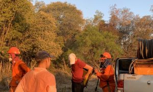 Voluntarios En Los Incendios De Corrientes Preparando Las Mochilas De Agua