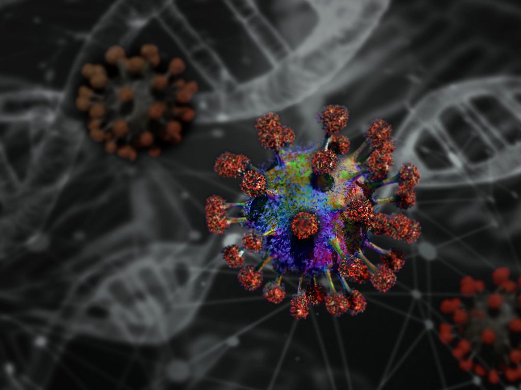 Coronavirus immagine del virus