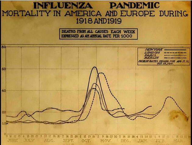 Influenza Grafico dei contagi