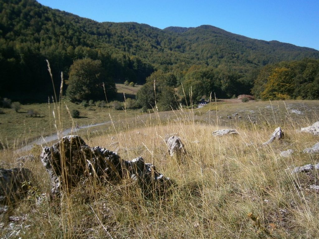 Monti Pollino forestazione produttiva